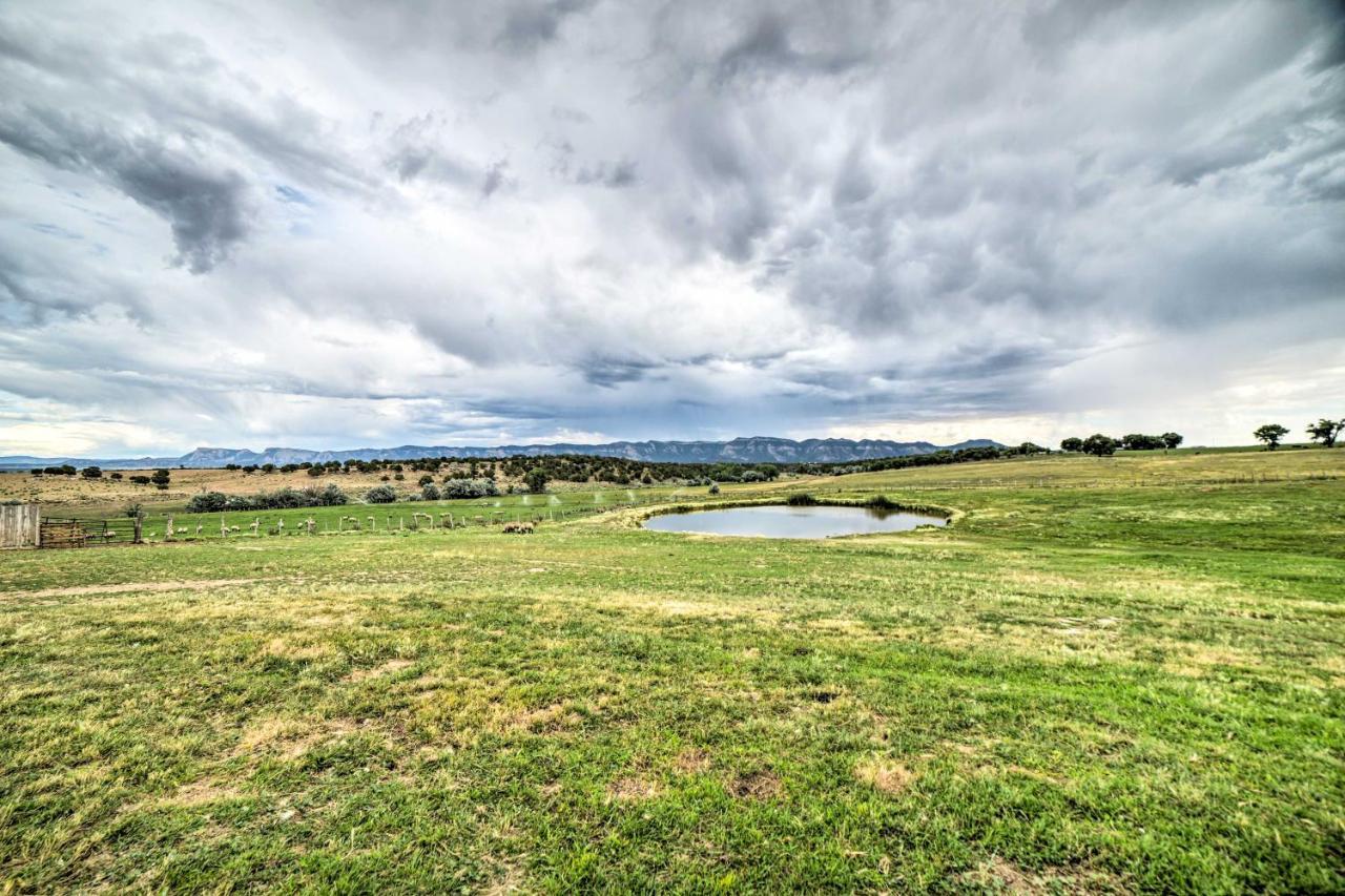 Walkout Apartment with Mtn View on Cortez Ranch Zewnętrze zdjęcie
