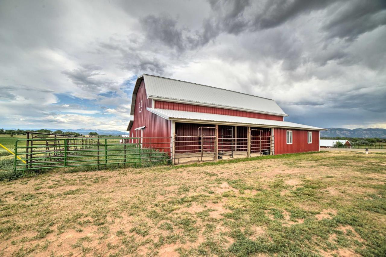 Walkout Apartment with Mtn View on Cortez Ranch Zewnętrze zdjęcie